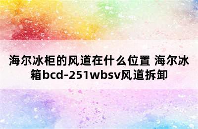 海尔冰柜的风道在什么位置 海尔冰箱bcd-251wbsv风道拆卸